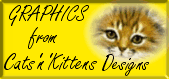 Cats n Kittens Designs