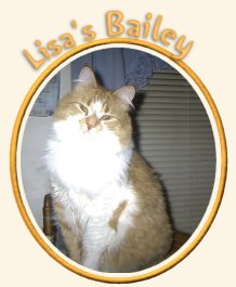Lisa's Bailey
