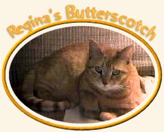 Regina's Butterscotch