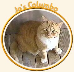 Jo's Columbo