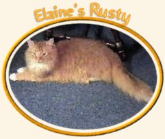 Elaine's Rusty