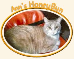 Ann's HoneyBun