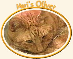 Mari's Oliver