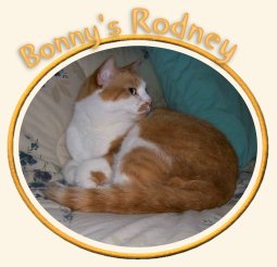 Bonny's Rodney