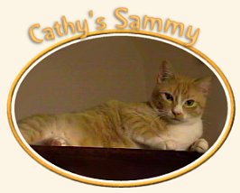 Cathy's Sammy